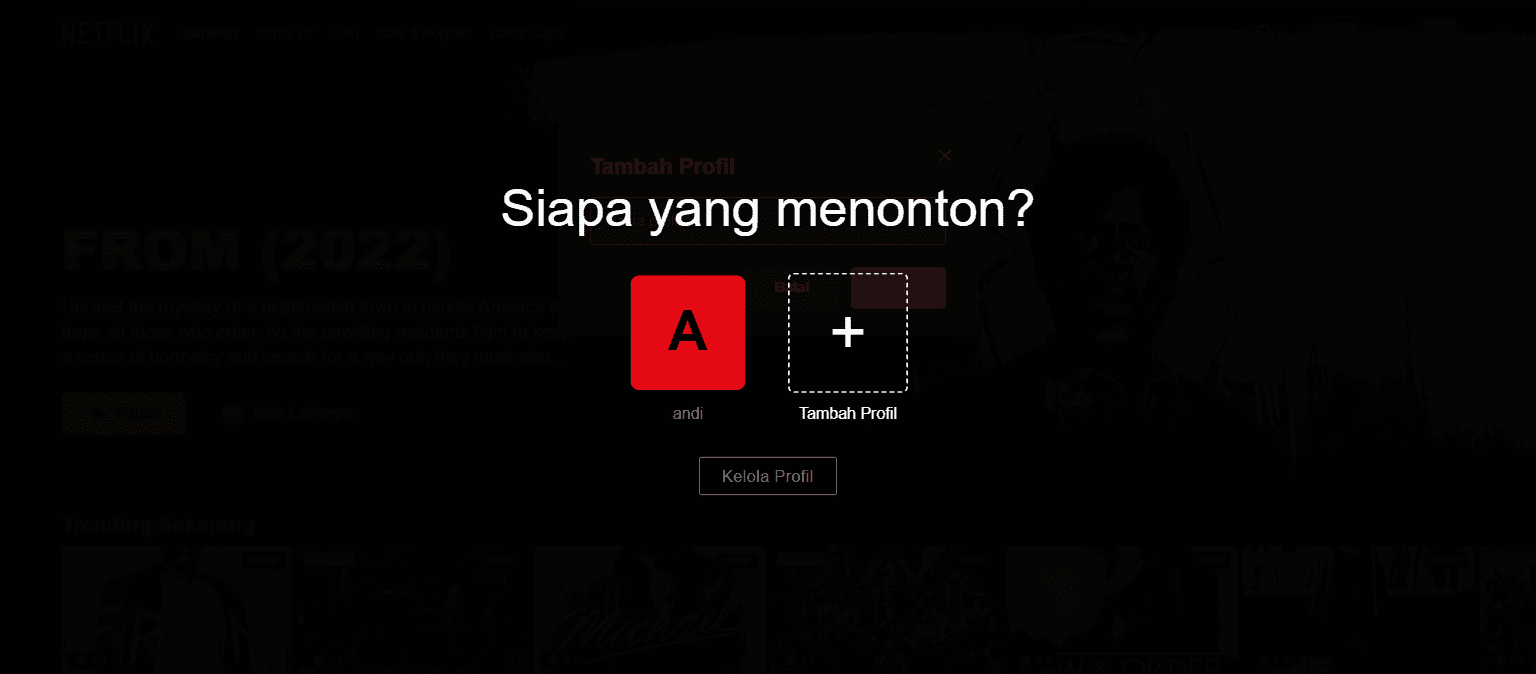 Profile modal — styled account settings