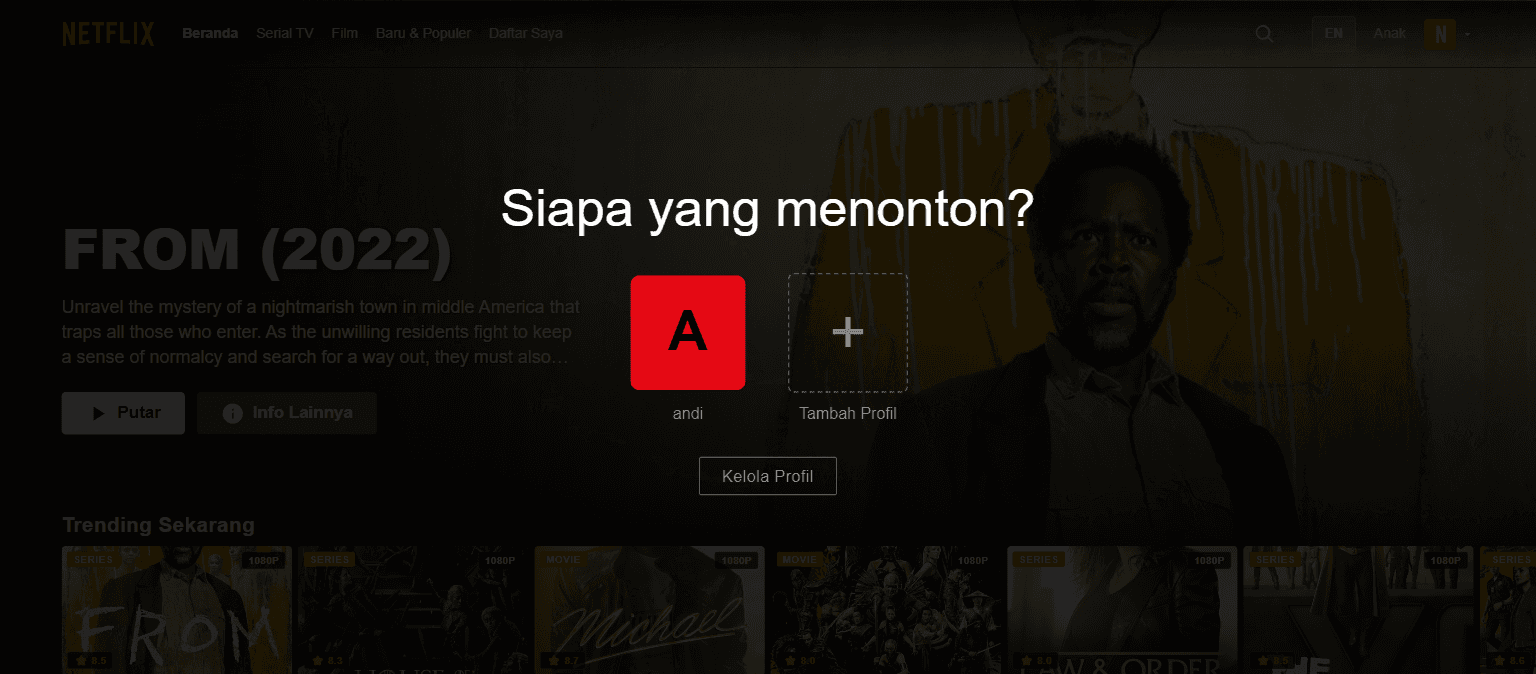 Who's watching — profile selection